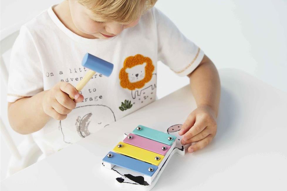 FARM WOOD XYLOPHONE TOY