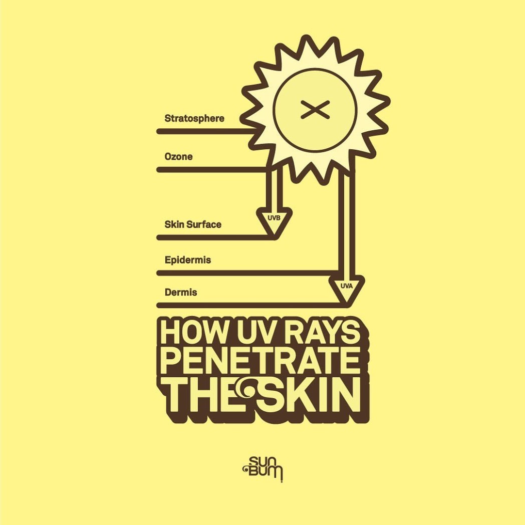 SUN BUM - Sunscreen | Lotion SPF 50