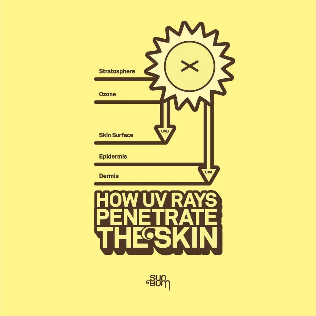 SUN BUM - Sunscreen | Spray SPF 30