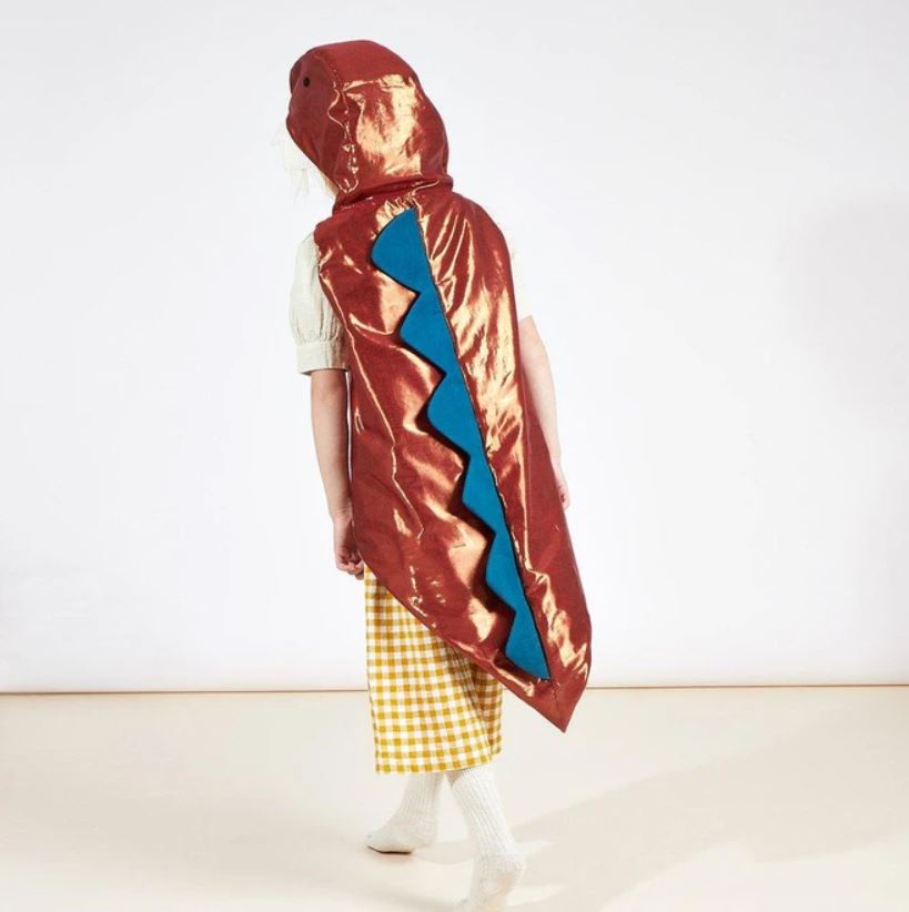 Dinosaur Dress Up