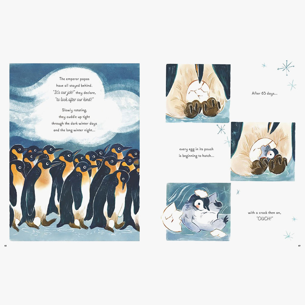 5 Minute Ocean Stories Read-Aloud Children's Book