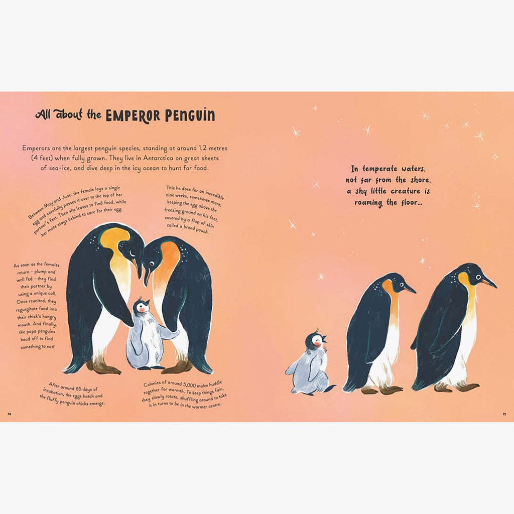 5 Minute Ocean Stories Read-Aloud Children's Book