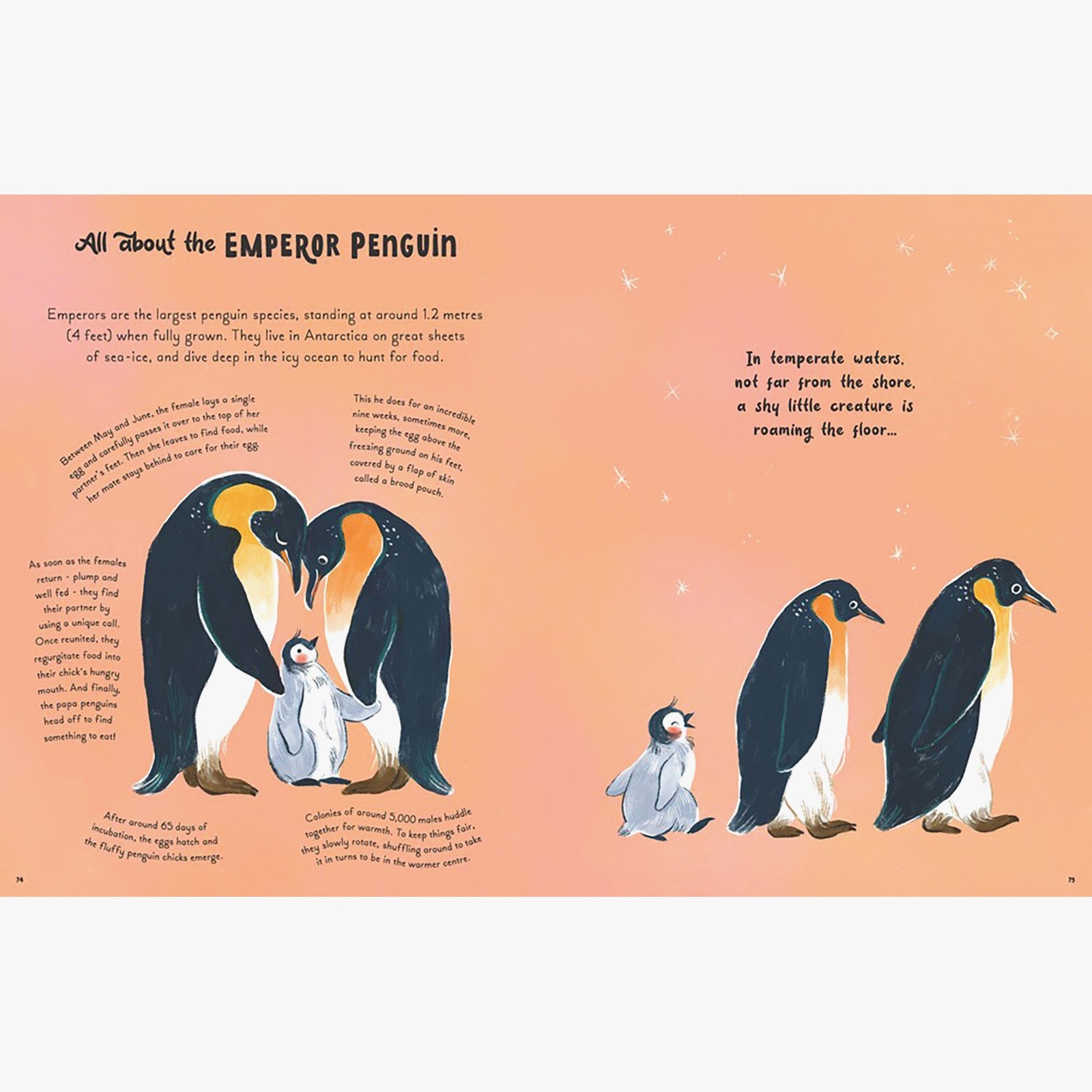 5 Minute Ocean Stories Read-Aloud Children's Book