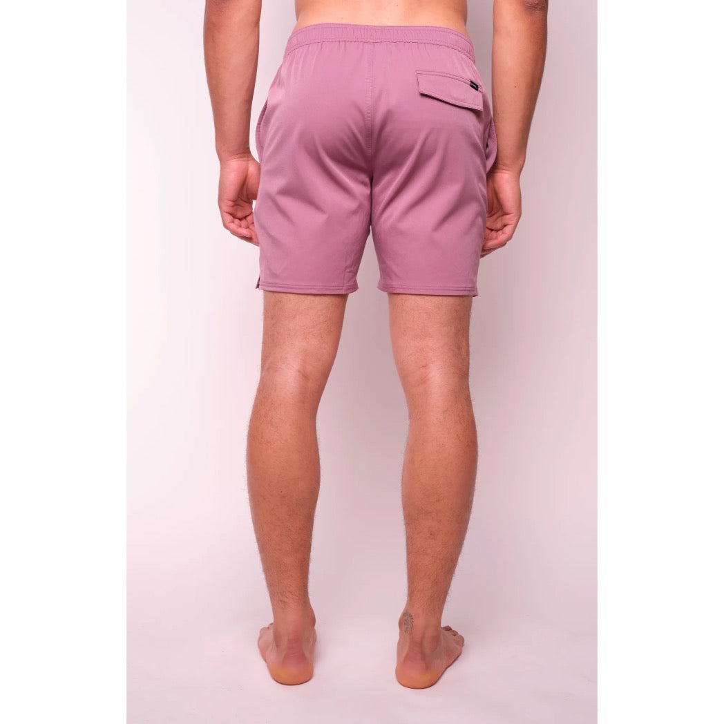 ONEILL - SOLID VOLLEY 2.0 VOLLEYS | Grape Shake