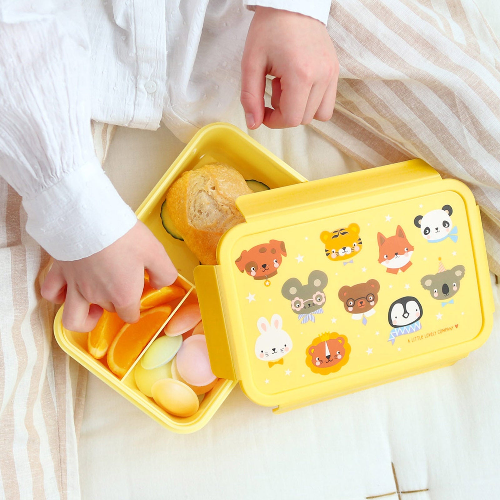 A Lovely Little Company Bento Lunch Box
