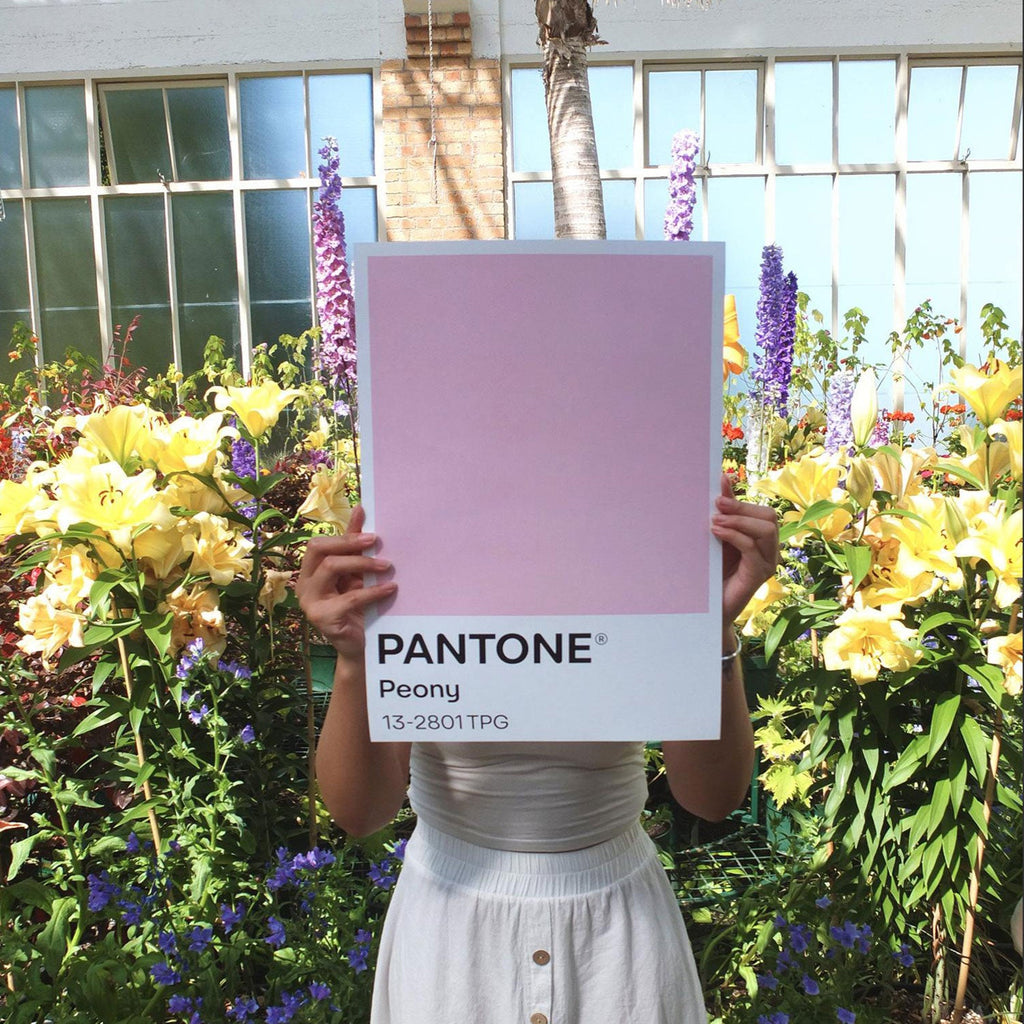blunt | metro umbrella | peony - limited edition