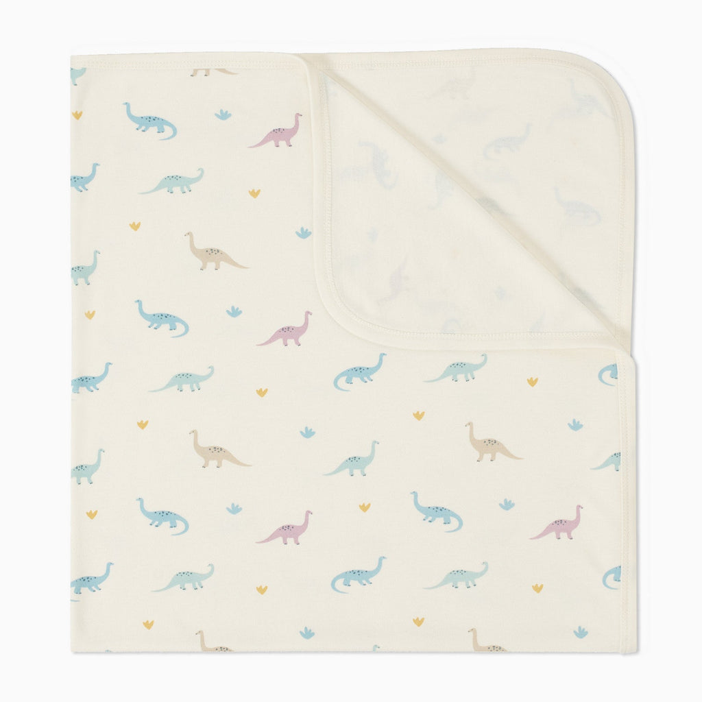 Dino Baby Blanket