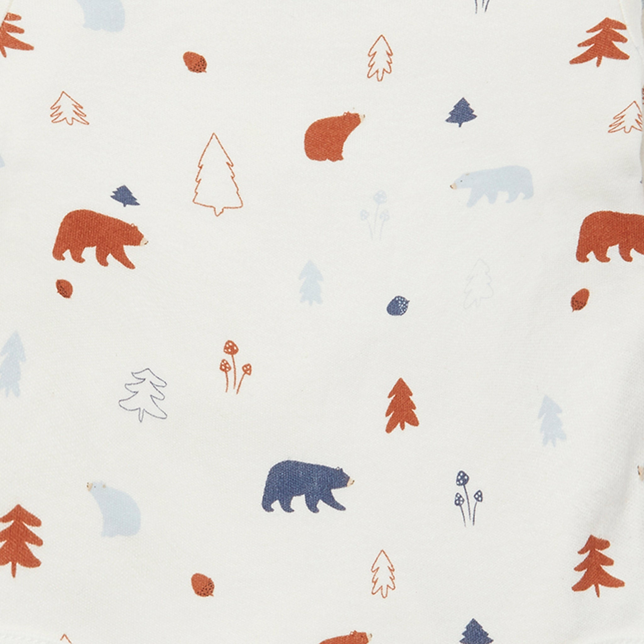 Forest Bear Long Sleeve Bodysuit 2 Pack