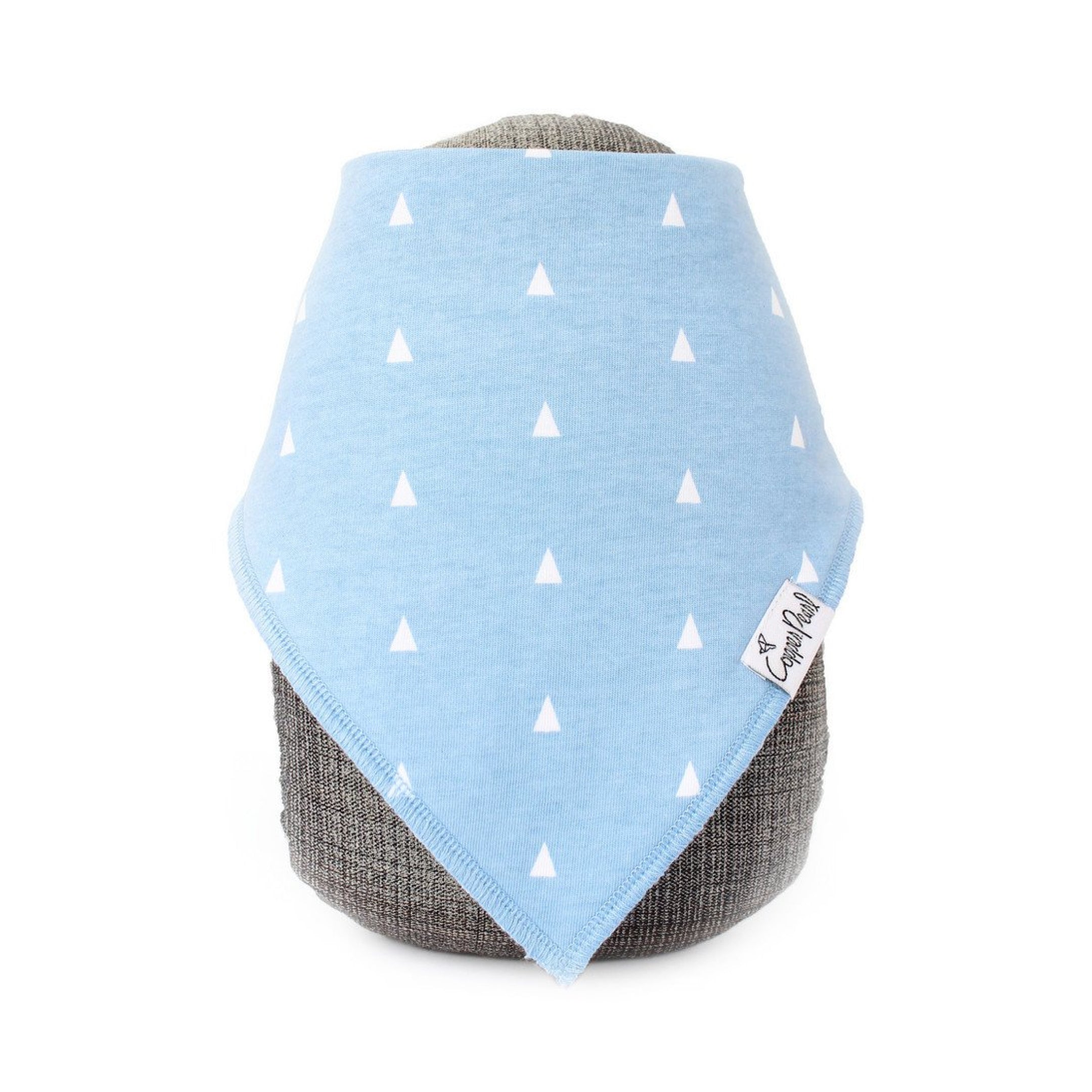 Cruise Baby Bandana Bibs