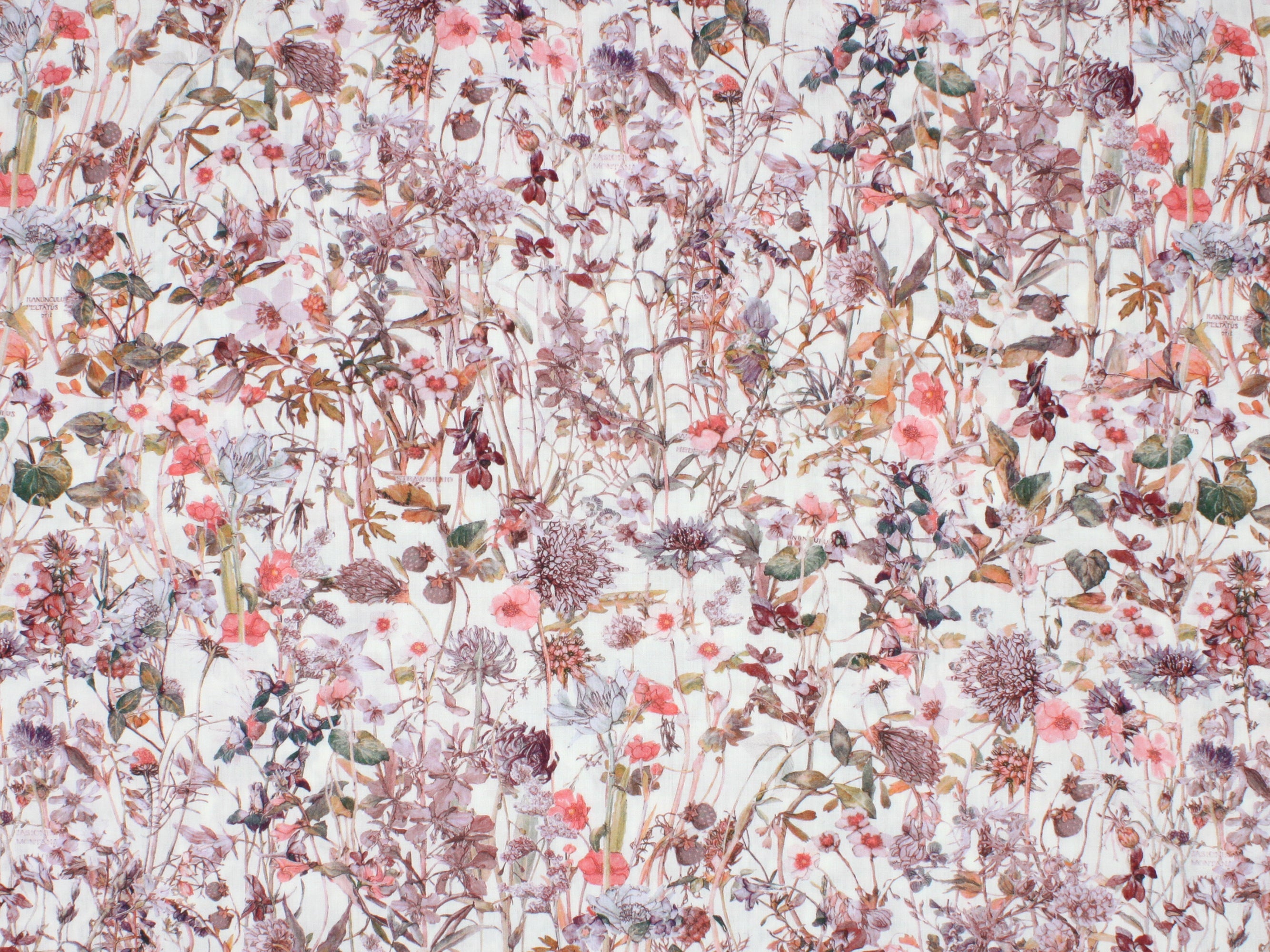 Liberty Fabrics - Wild Flowers F Tana Lawn™ Cotton