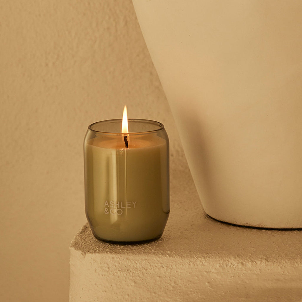 ashley + co | waxed perfume scented candle | parakeets + pearls