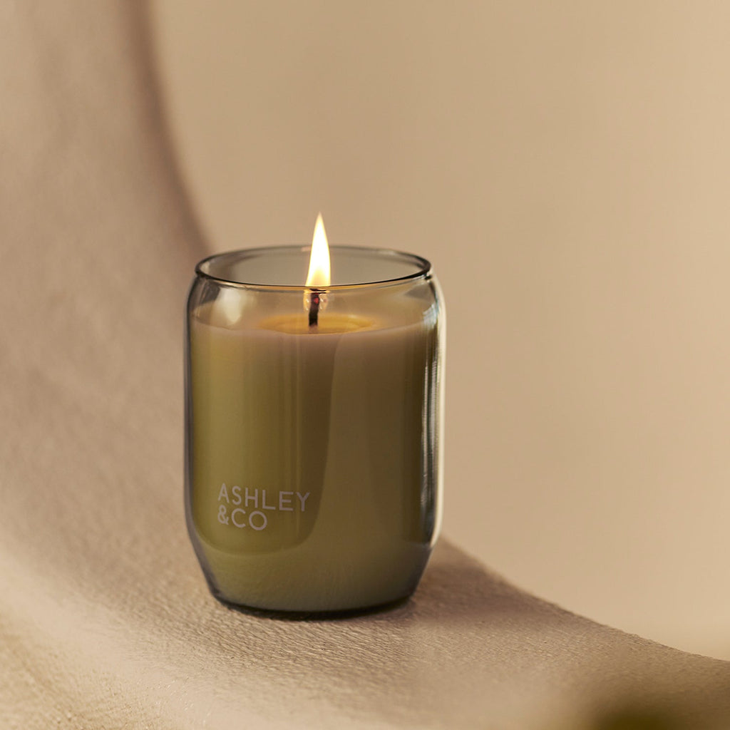 ashley + co | waxed perfume scented candle | parakeets + pearls