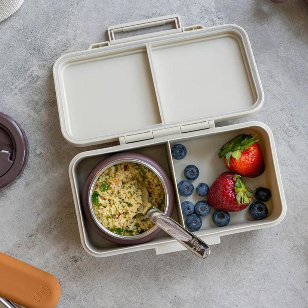 Citron Rectangle Lunchbox - Vehicles