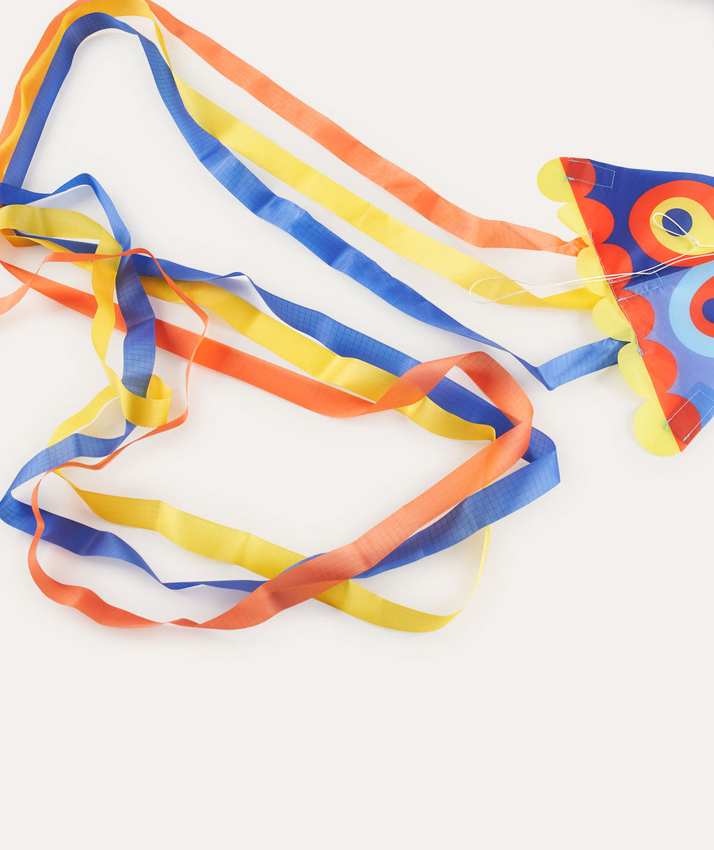 Djeco Maxi Bird Kite