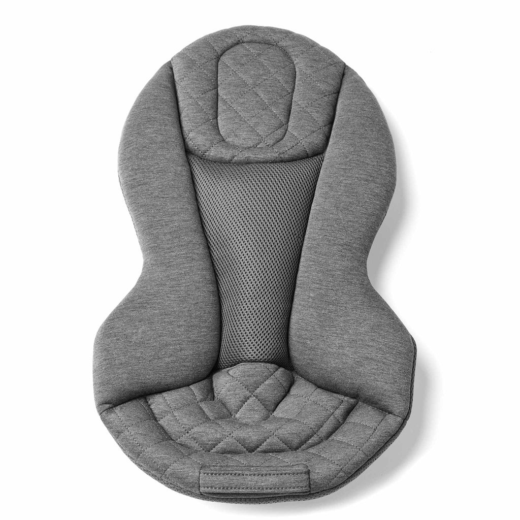 Ergobaby Evolve 3-in-1 Bouncer
