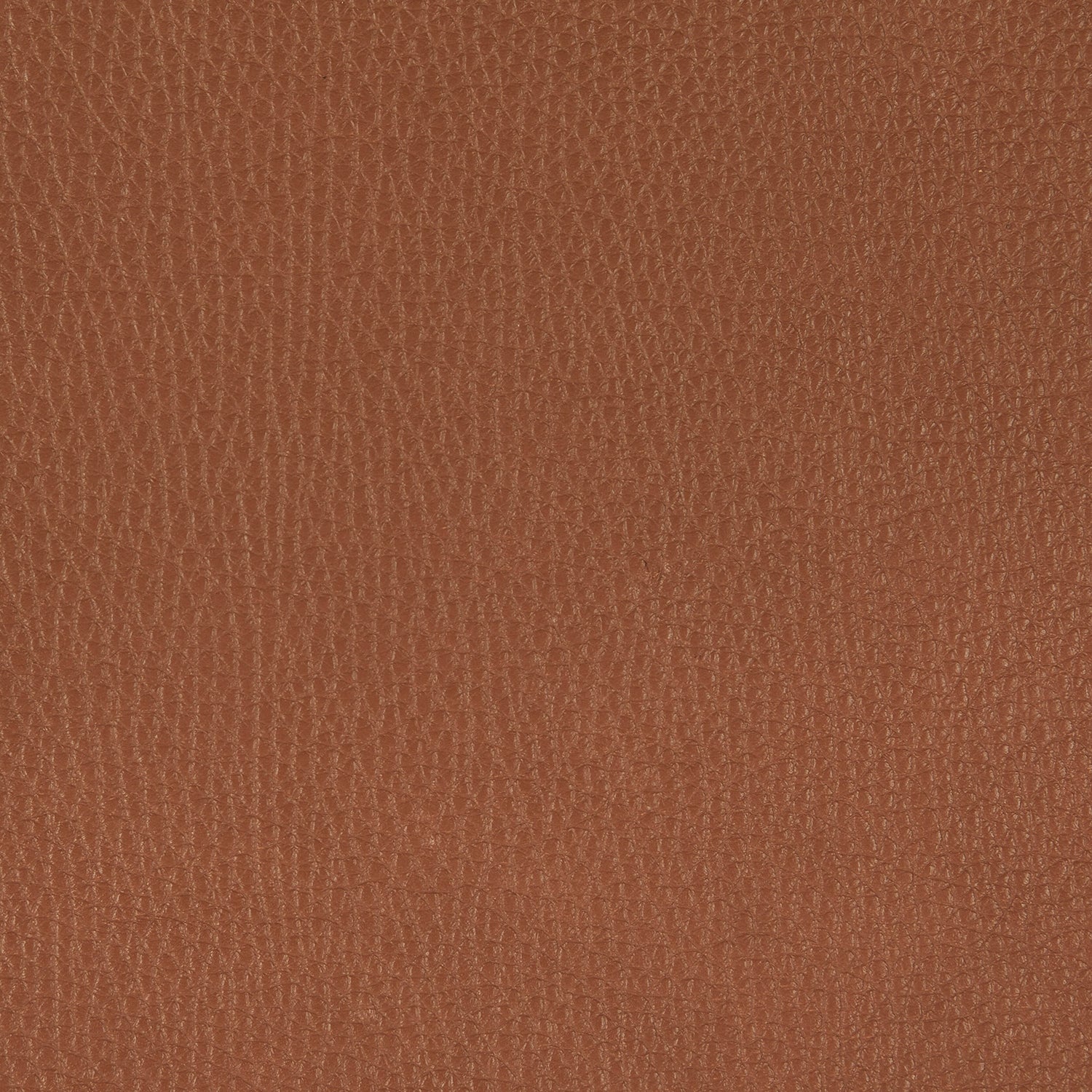freifrau | leya armchair low | wire frame | cairo cognac leather