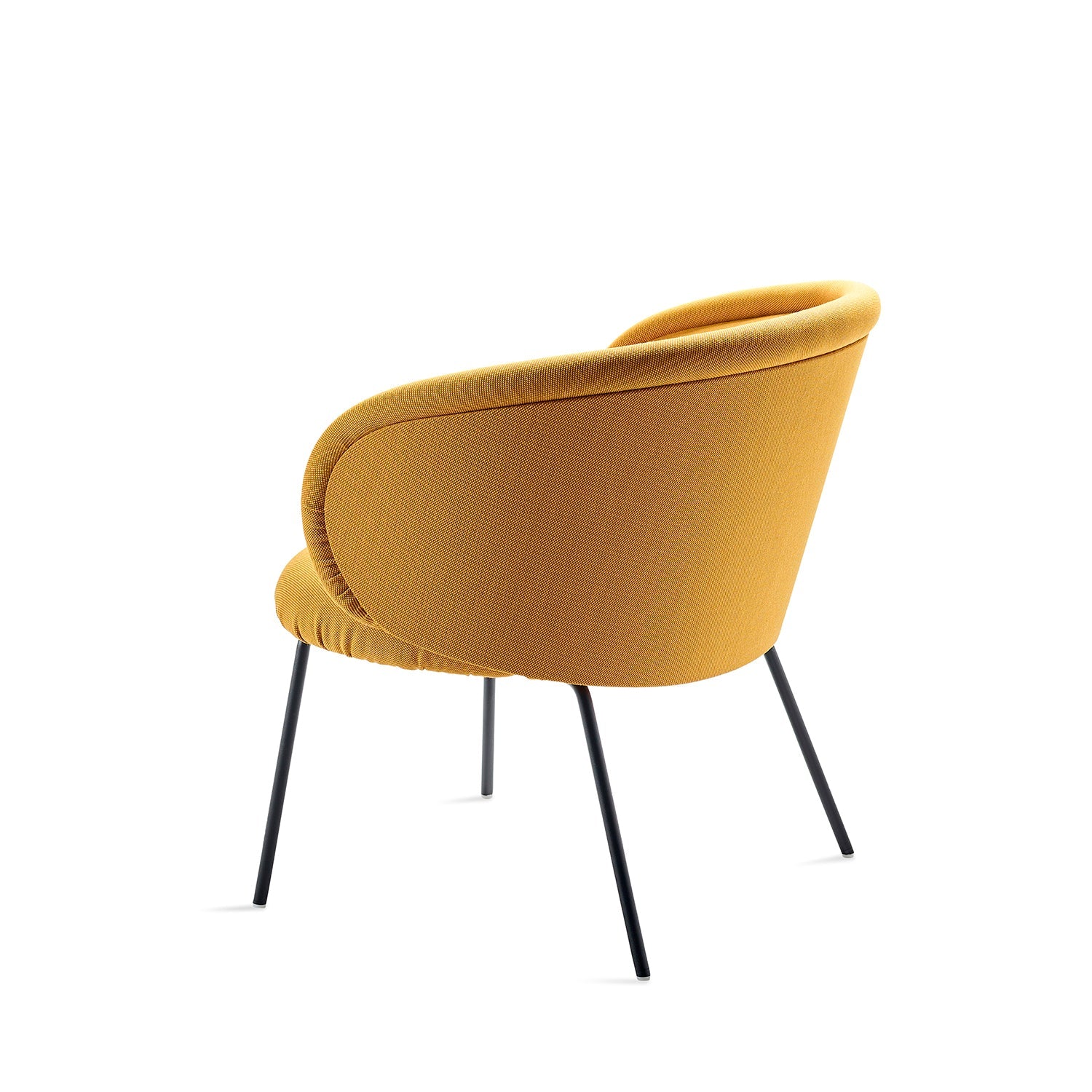 freifrau | ona cocktail armchair | maple 732 + steel frame black