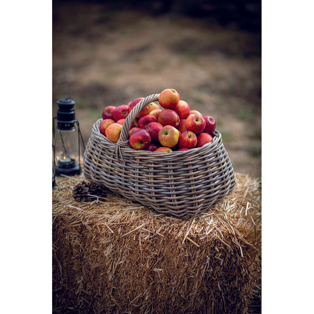 Bembridge Forage Basket
