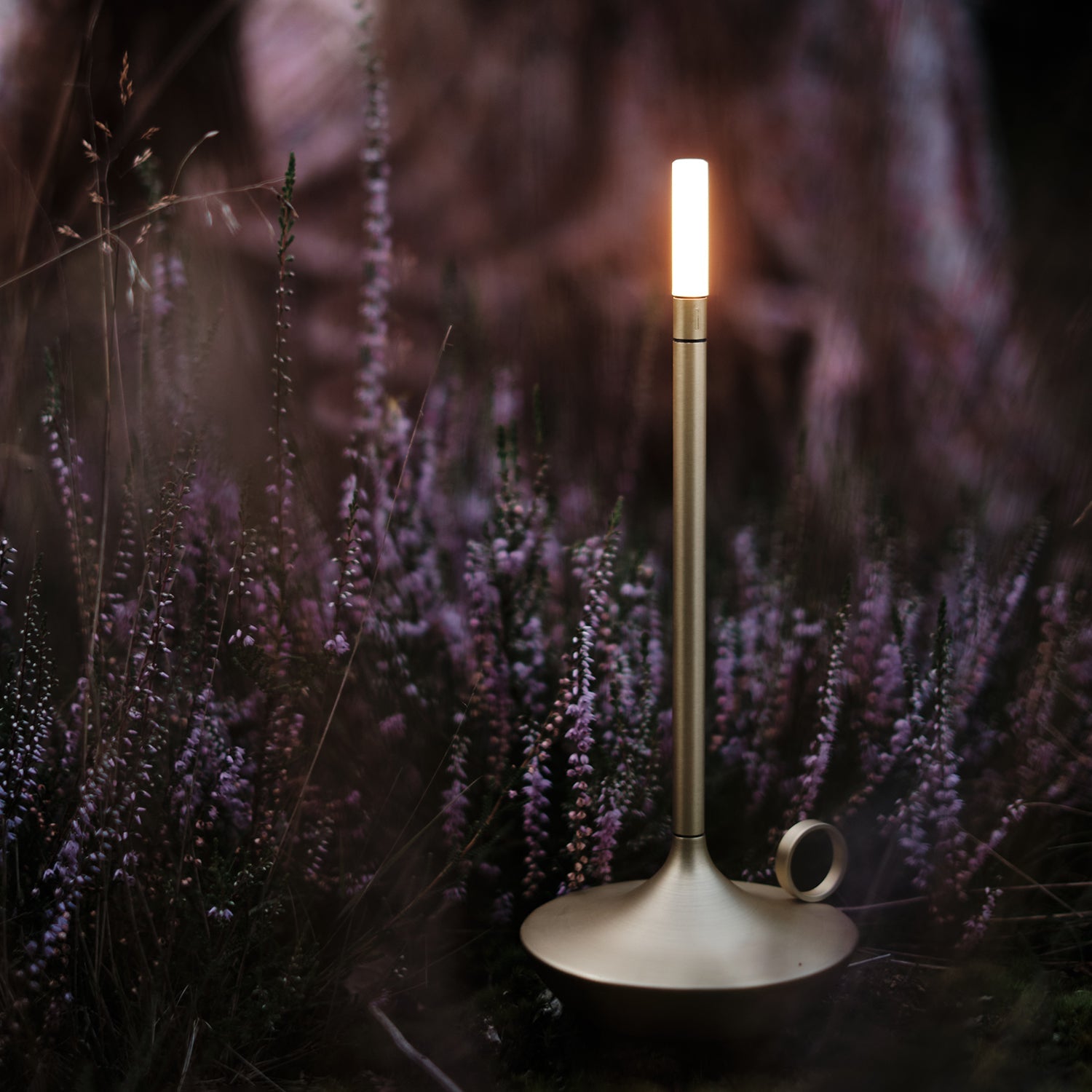 graypants | wick portable table lamp | brass 26cm