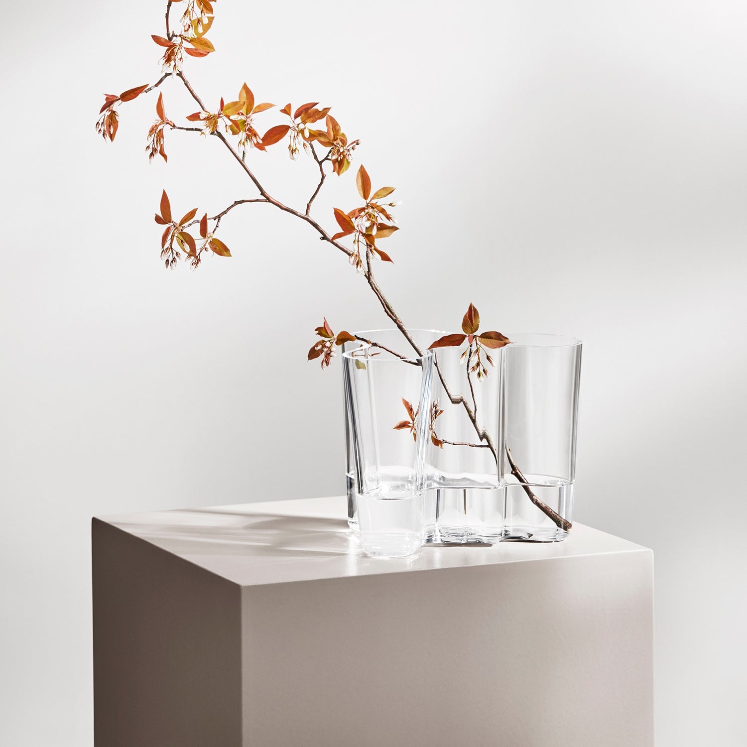 iittala | aalto savoy vase | clear 16cm