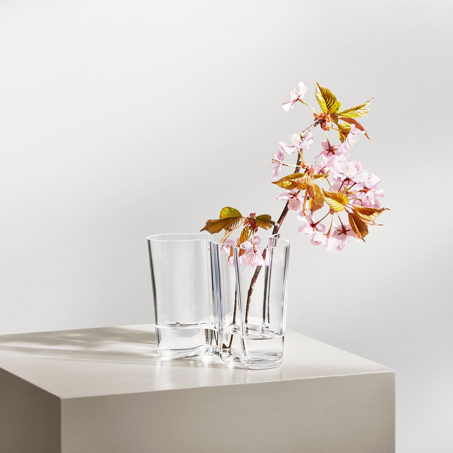 iittala | aalto savoy vase | clear 16cm