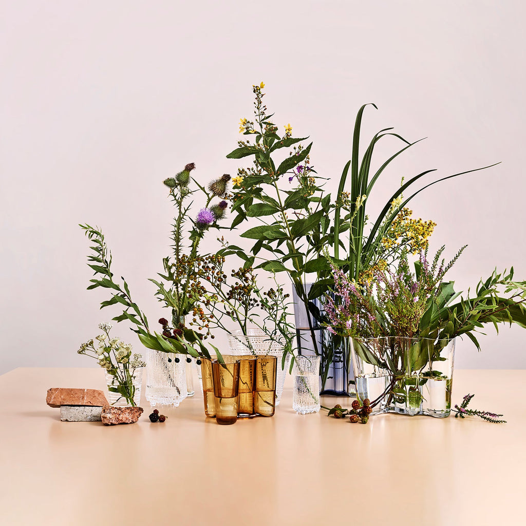 iittala | aalto savoy vase | clear 16cm