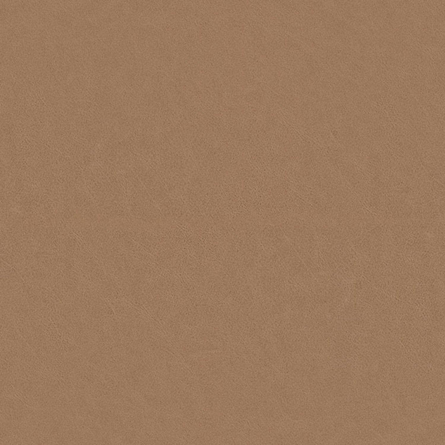 lk hjelle | siesta fiora 307 chair | low back | beech + dunes leather - DC