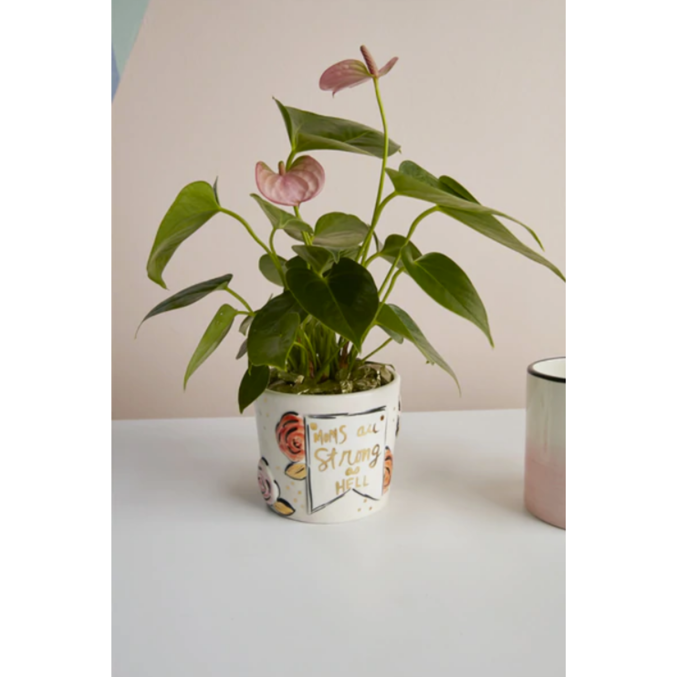 MATRIARCH POT